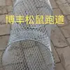 Pista de Correr para Ardillas, Jaula de Correr para Ardillas, Jaula Pista de Correr para Animales Pequeños, Venta Directa de Fábrica, Descuento, Paraíso para Mascotas Lindas, Malla Encerrada de Alambre de Acero