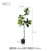 Planta Artificial Fugui Banyan Árvore Falsa Plantio Verde Simulado Nantianthus Tipo Chão Sala de Estar Planta Artificial Phellodendron