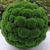Bola Redonda com Cabelo Plantado Simulada, Bola de Plantas, Bola de Musgo de Grama, Bola de Grama, Bola de Musgo, Decoração Macia, Teto, Parede de Casamento, Decoração de Shopping