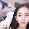 Accesorios para el Cabello con Temática de Amor, Diadema Linda con Orejas de Gato Estilo Coreano, Accesorios para Mujer, Fiesta Sexy de Navidad