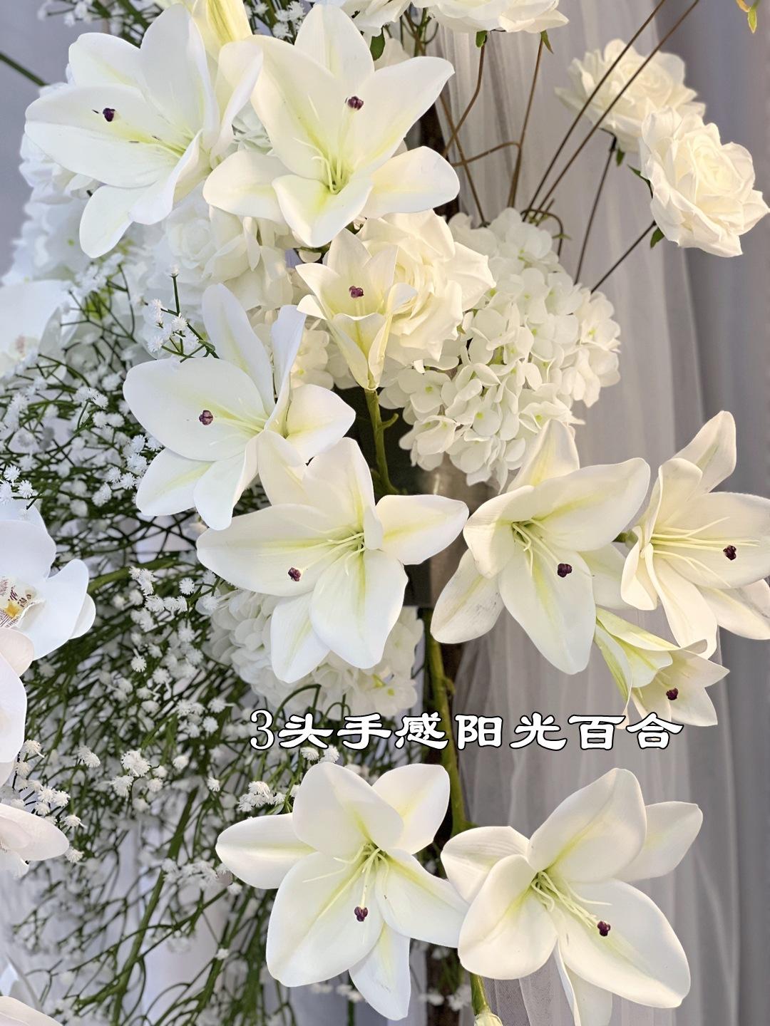 微信图片_20230310092236_副本.jpg