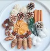 Fruta Fixa Natural Planta Fruta Casca Espécime Material Decoração Flores Secas Fatias Jardim de Infância DIY Pacote de Material de Natal