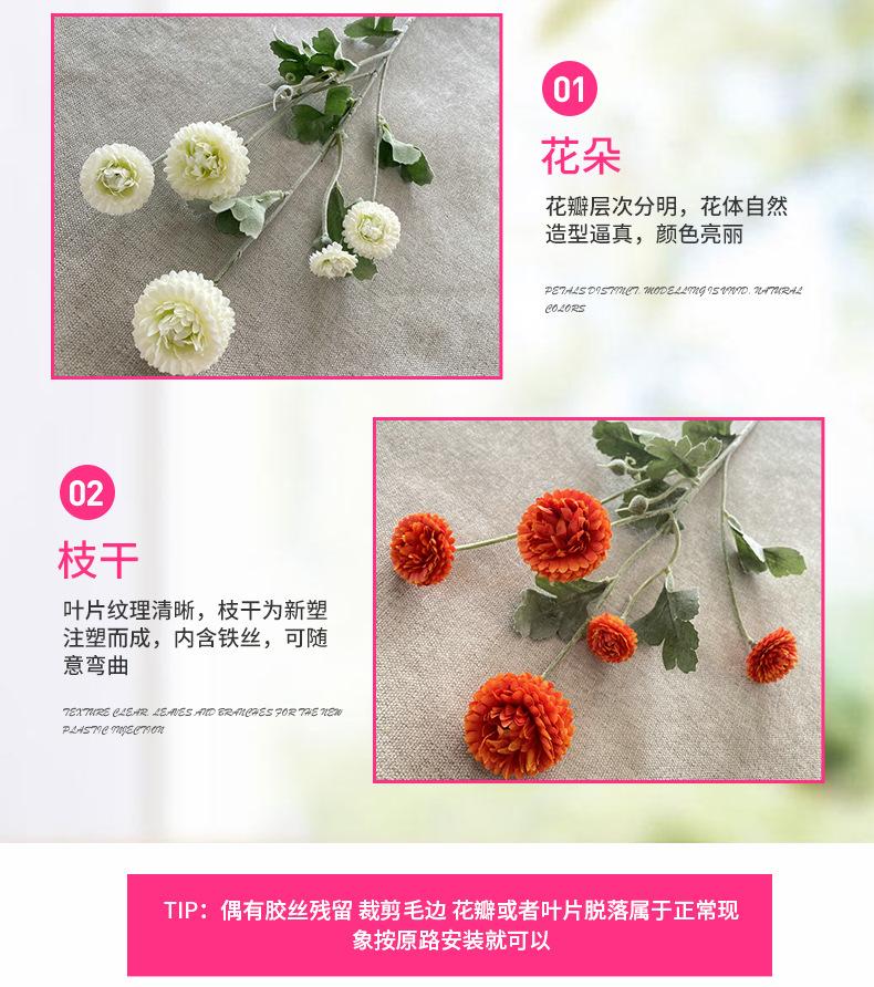 产品细节2-最终.jpg