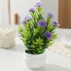 Planta en Maceta de Flor Artificial Decoración de Mesa de Comedor para el Hogar Adornos Pequeños Flor de Ciruelo de Cinco Pétalos Maceta de Flor de Plástico Planta Transfronteriza