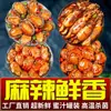 Polvo Picante Cabeça Grande Pronto para Comer Frutos do Mar Pequenos Mala Polvo Fresco em Conserva Abalone Ostras Pratos para Comer com Arroz