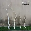 Ramas Secas, Troncos, Ramitas, Ramas Muertas, Troncos de Madera Muerta, Perchas para Pájaros, Colgadores de Ropa de Pared, Decoraciones de Ramas de Techo