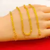 Collar de Latón Chapado en Oro para Mujer, Collar de Oruga para Mujer, Collar Estilo Coreano y Japonés, Venta al por Mayor para Transmisiones en Vivo de Vendedores Ambulantes