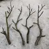 Galhos e Troncos Secos Artísticos, Poleiro para Pássaros, Cabide de Parede, Decoração de Teto por Longmai Taibao