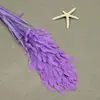 Flor mágica hierba de la pequeña esperanza eterna ramo flor real Natural Alto sentido ins estilo nórdico sala de estar decoración jarrón Flor eterna
