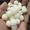 Suministro Directo de Fábrica de Raíz de Bodhi Garra de Gato Loto Cuentas Sueltas para DIY, Accesorios de Bodhi Tallados Finamente a Mano Despertar del León