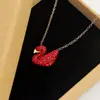 Moderna Cadena para Clavícula de Ganso y Pato Estilo Coreano para Mujer, Versátil y de Alta Gama, Exquisita y que No se Desvanece, Cadena de Amistad