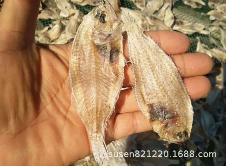 中号16.jpg