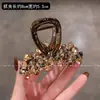 Presilha de Cabelo Cristal Cor Champagne Dongdaemun para Mulheres, Presilha de Cabelo de Médio Porte de Alta Qualidade com Pouco Volume de Cabelo, Nova Presilha Jacaré na Parte de Trás da Cabeça