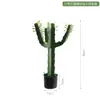 Cacto Artificial Simulado Planta Verde em Vaso Floreira Decorativa Ornamentos Parede de Fotos Fundo Simples Planta do Deserto Bonsai