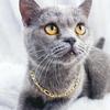 Collar de metal resistente a la decoloración para mascotas, collar ajustable con borde cruzado para gatos, lindo y sencillo collar de cadena de aluminio para perros.