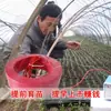 Cabo de Aquecimento para Mudas de Vegetais em Estufa Termostato de Incubação Agrícola Controlador de Temperatura Cabo de Aquecimento de Ar Elétrico
