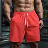 Pantalones Cortos de Verano para Hombre de Alta Calidad para Comercio Exterior y Ventas Transfronterizas, Secado Rápido, Corte Holgado, Pantalones Cortos Casuales Oversize, Pantalones Cortos de Playa