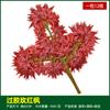 Simulación de hojas de baniano, hojas de arce rojo, hojas de ginkgo, ramas falsas, hojas de otoño, ingeniería, decoración, plantas verdes, paisajismo, venta al por mayor