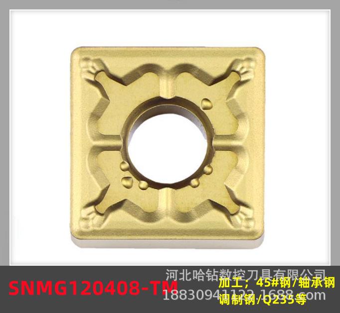 SNMG120408-TM