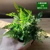 Materiales DIY para Micro-Paisajismo con Musgo, Planta Individual de Hierba de Malla, Plantas Verdes Frescas para Acuapaisajismo, Helechos para Paisajismo de Tanques Aqua-Terrestres
