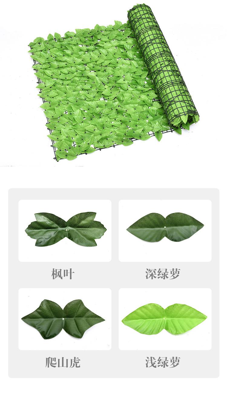 详情3.jpg