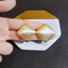 Brincos Quadrados de Metal Escovado, Brincos Estilo Francês de Celebridade da Internet, Brincos Minimalistas de Nicho, Brincos Únicos da Moda Novos e Tendência