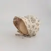 Gorro para Bebé Yipan Estilo Coreano Ins Primavera y Otoño Moda Súper Lindo Sombrero de Princesa Floral para Bebés Sombrero de Protección Solar para Niños Venta al por Mayor