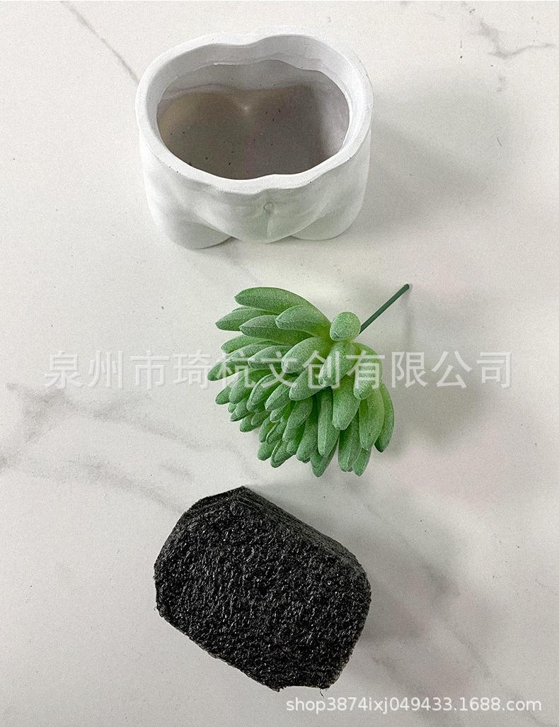 多肉_05.jpg