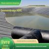 Geomembrana Anti-Infiltração para Reservatório Lago Artificial 1mm Novo Material Membrana Anti-Infiltração Proteção de Talude de Reservatório Geomembrana de HDPE