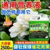 Solução Nutritiva para Plantas de Jardinagem, Fertilizante Geral para Flores, Fertilizante Hidropônico, Solução Nutritiva para Folhas de Jiboia em Vasos para Plantas Verdes Domésticas