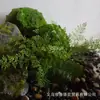 Materiales de Plantas Verdes Artificiales para Decoración y Paisajismo, Decoración Suave para Interiores, Material de Flor Individual, Planta Pequeña de Helecho, Manojo de Hierba, Verdeo de Micro Paisaje