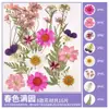 Paquete de Materiales DIY de Flores Secas Flores Prensadas Hechas a Mano Flores Conservadas Marcadores de Libros de Flores Prensadas Hojas de Árbol Real Plantas Pegatinas de Resina Maquillaje Facial