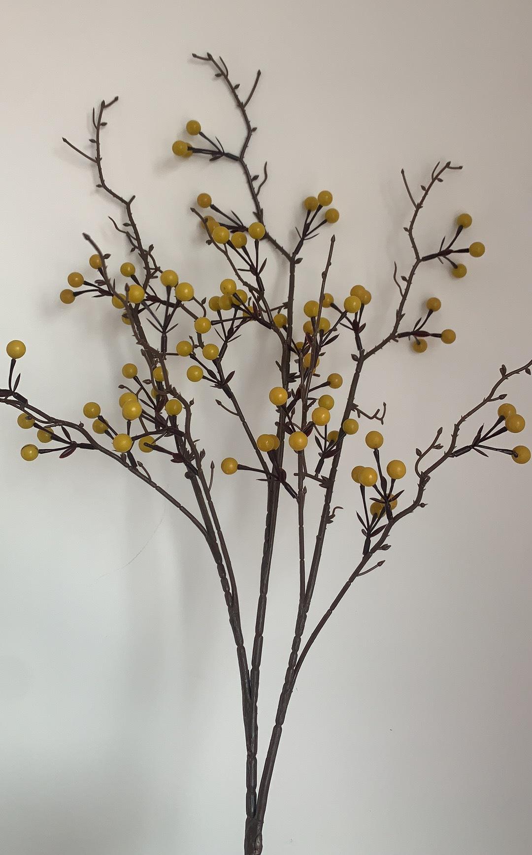 微信图片_20211212064939