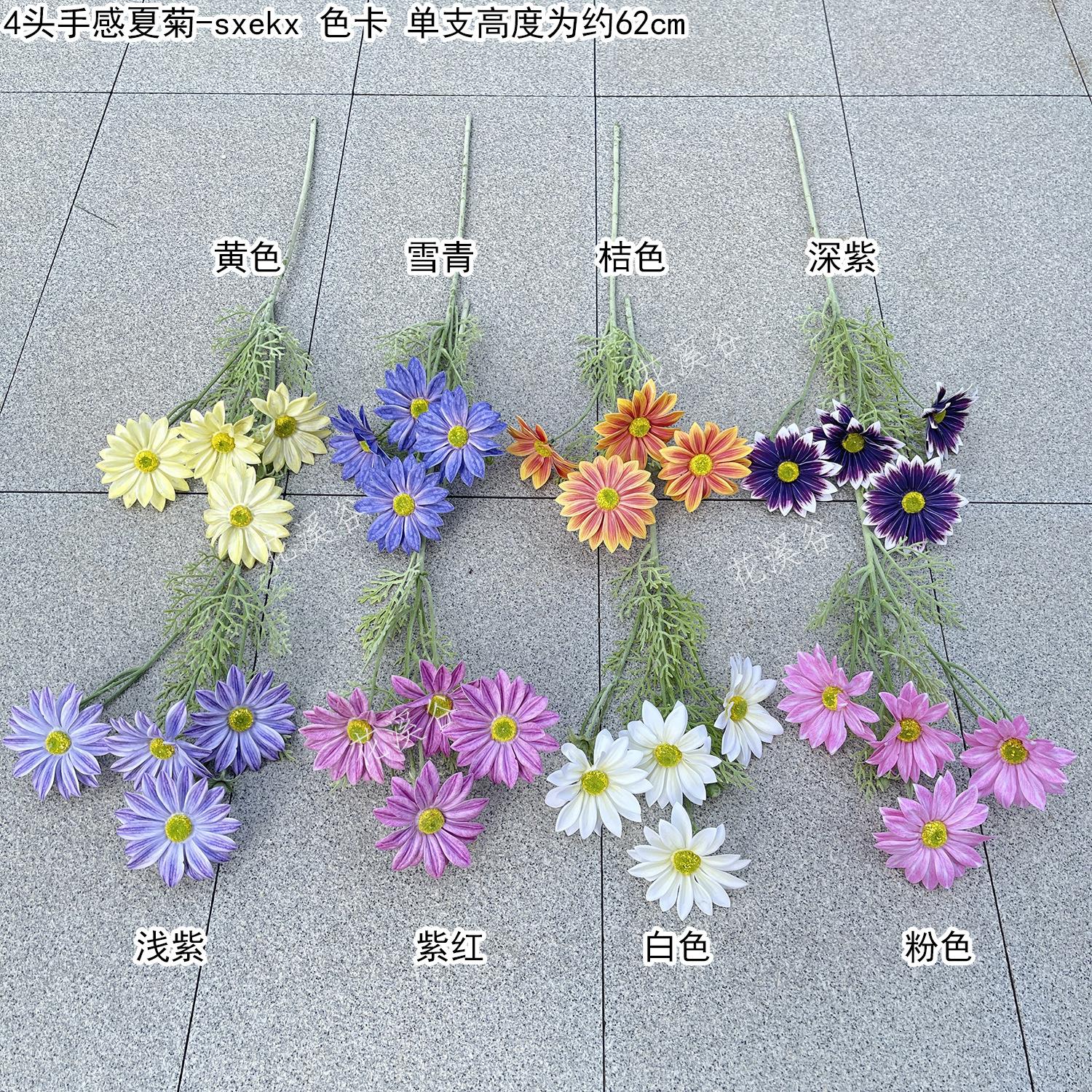 4头手感夏菊-sxekx 色卡 花溪谷.jpg