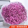 Yunnan Kunming Dounan Céu Estrelado flores secas naturais pesando Jin vendendo buquê grande de sala de estar fresca para decoração de casa frete grátis