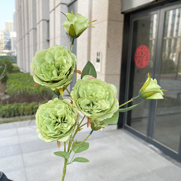 7头单支奥斯丁玫瑰-sxwlx-绿色.JPG