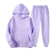 Conjunto de Moletom de Lã Novo Outono e Inverno Transfronteiriço Conjunto Casual com Capuz Masculino de Duas Peças Fabricante Atacado Outono