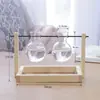 Jarrón de cristal creativo para arreglos florales de sala de estar, recipiente hidropónico transparente simple para plantas pequeñas, maceta de boca estrecha