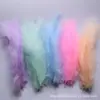 28 Colores Accesorios para joyería diy Paquete pequeño Pluma Cola puntiaguda Pluma de plumón Bola de ondas Material de plumas decorativas