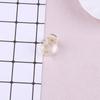 Pinza de Garra Simple Personalizada para Mujer, Accesorio Transparente para el Cabello para Recogidos, Accesorio de Pasador Versátil, Pinza para Raíz del Cabello