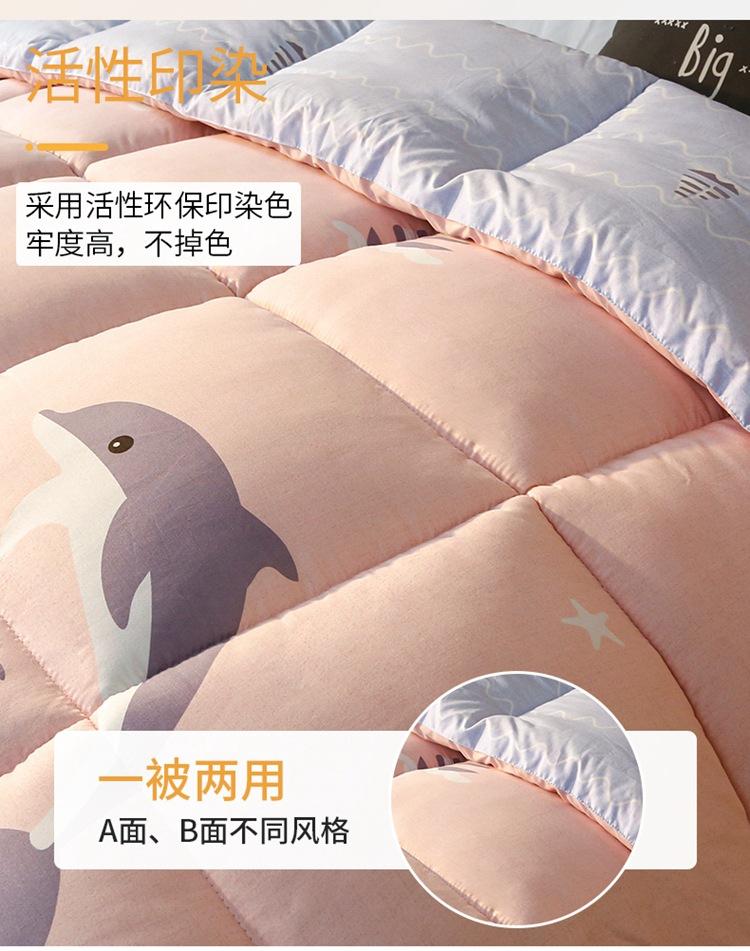 海豚湾 (8)