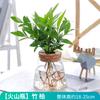 Jarrón de Vidrio Creativo, Transparente Hidrocultura Contenedor para Plantas Verdes, Jarrón Pequeño de Lujo Accesible, Decoración de Escritorio de Oficina, Adornos Modernos