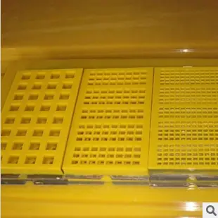 945079574_1858880417