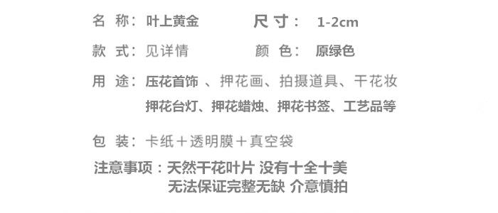叶上黄金.png