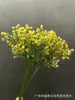 Nueva simulación mini erizo de mar gypsophila flor de arroz estrella decoración de muebles decoración de ramo de gypsophila estrella arreglo floral pequeño fresco