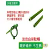 5 Hastes de Suporte para Plantas para Orquídeas, Proteção de Folhas, Monstera, Caladium, Estrutura de Suporte para Jardinagem, Fixação Antiderrapante para Flores