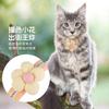 Novo Coleira Anti-Quebra para Gatos, Coleira Refletora Anti-Perda para Gatos, Coleira Ajustável Média para Gatos de Estimação