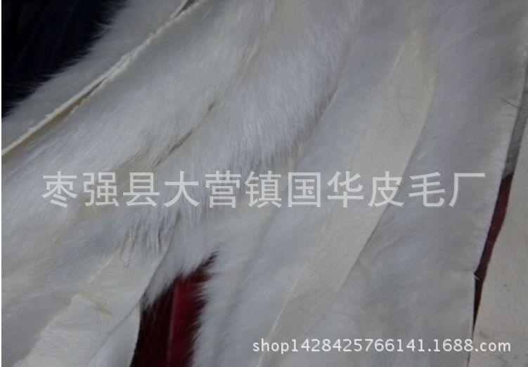 QQ图片20150802144957