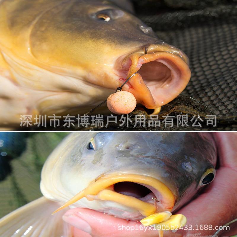 欧鲤钓组详情图三