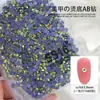 Atacado 1440 Malha Fundo Plano Strass Joias para Nail Art Popular Cor AB Redondo Grande Bolsa Diamante de Vidro Decoração de Unha